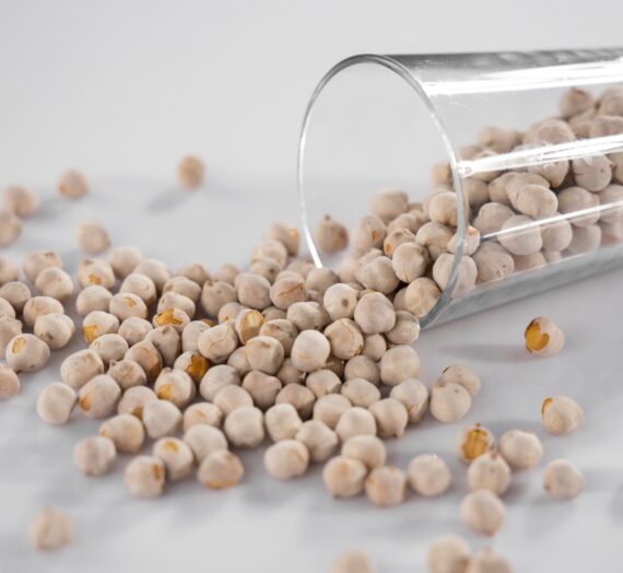 Soya et ménopause : bref aperçu